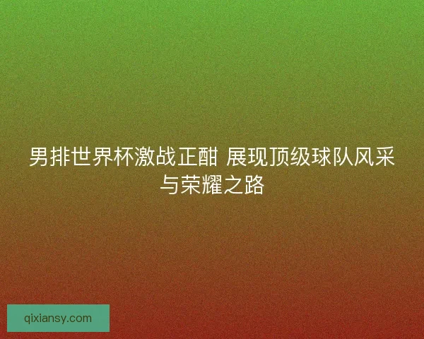 男排世界杯激战正酣 展现顶级球队风采与荣耀之路