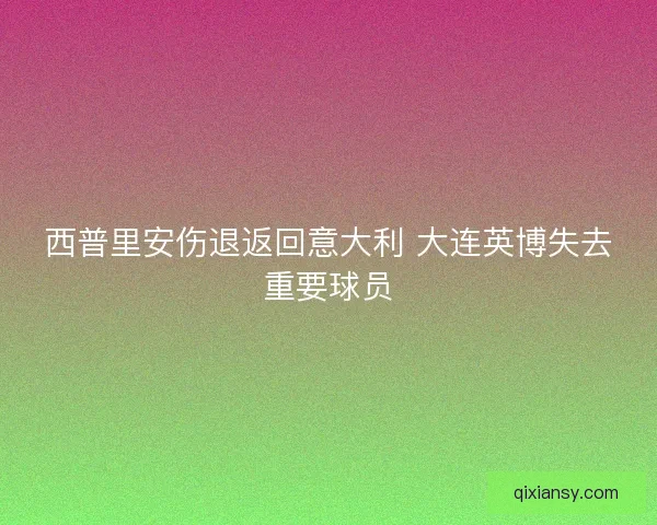 西普里安伤退返回意大利 大连英博失去重要球员